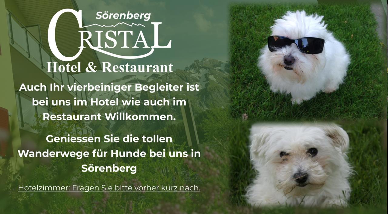 Hotel Cristal Soerenberg Eksteriør billede